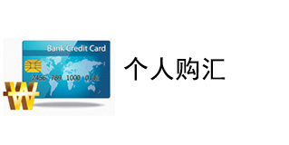 个人购汇